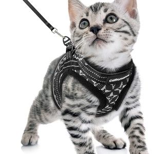 CatRomance Black and Silver Kitten Harness and Leash